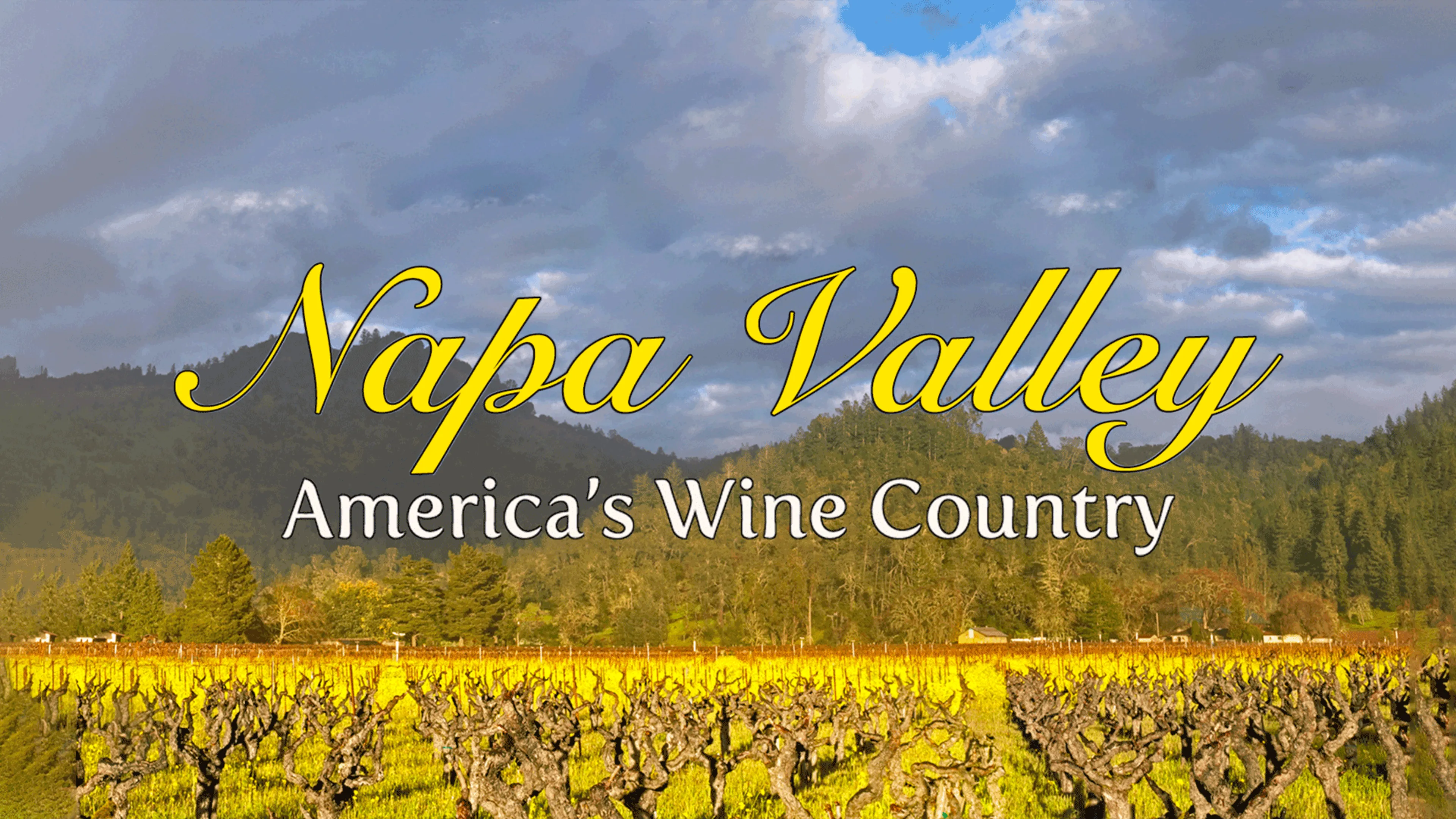 The Napa Valley - America's Wine Country poster
